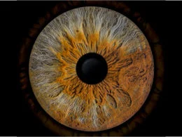 IRIS Project de Rowynn Dumont
